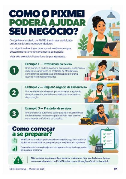 Página do guia 13